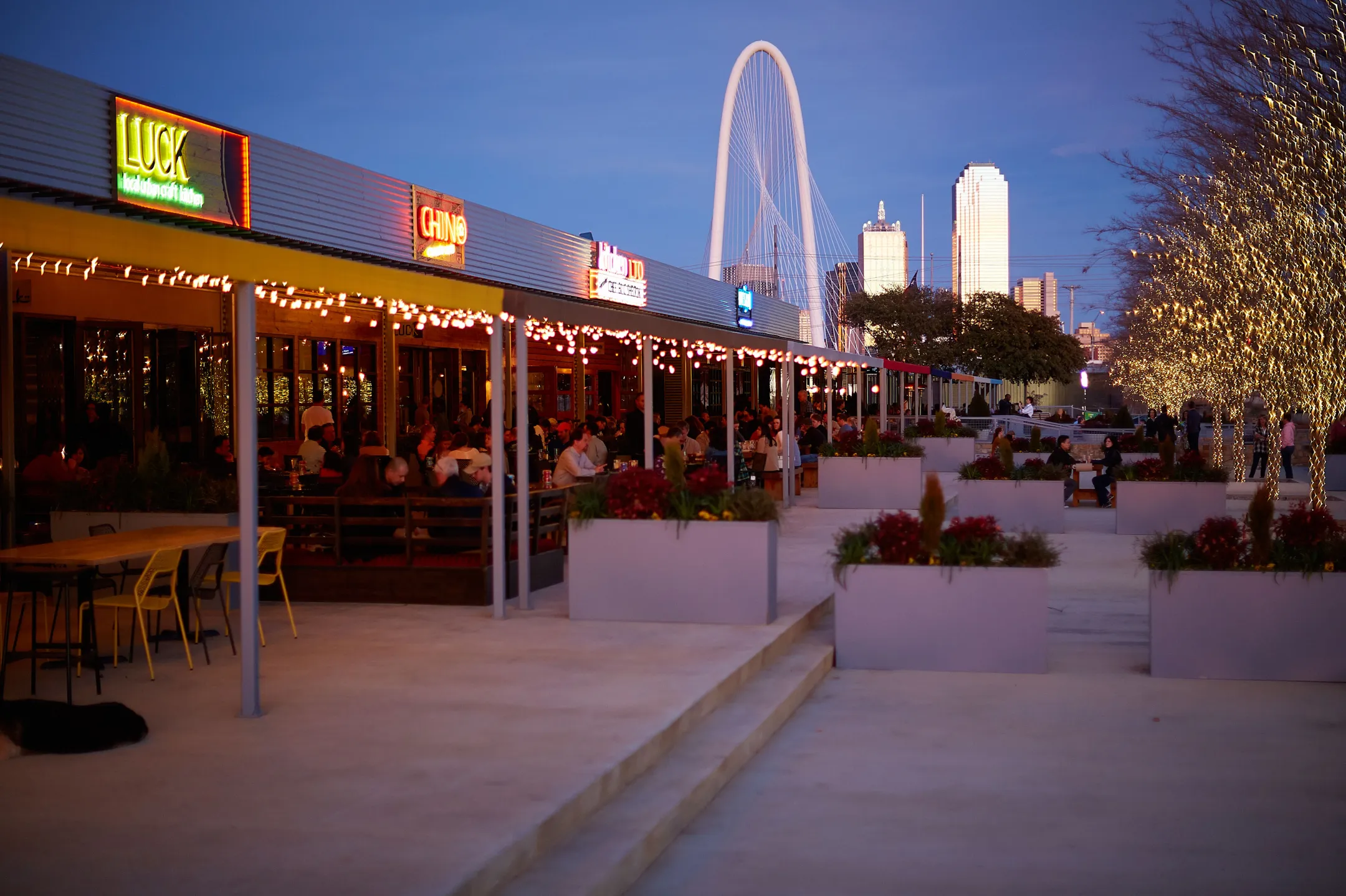 Oak Cliff neighborhood detail and skyline